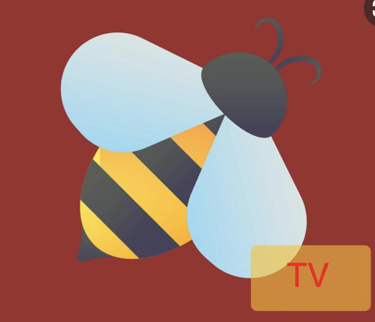 BeeTV - Similar App Like HDO Box APK